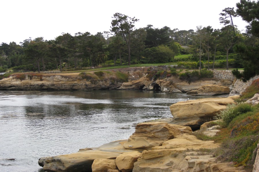 ../image/17 mile drive pebble beach 2.jpg